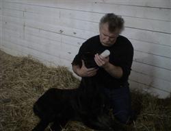 David Feeds A Minimum of 8 Ounces of Colostrum