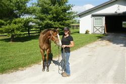 Patience Is Required to Teach Foals How To Set Their Feet Squarely