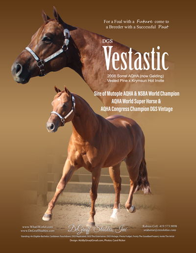 World Champion Sire DGS Vestastic